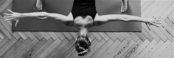 310284_10150832345100515_319634631_n