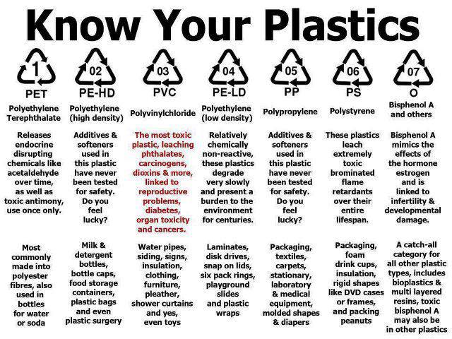 998743_499585620123880_1066074805_n