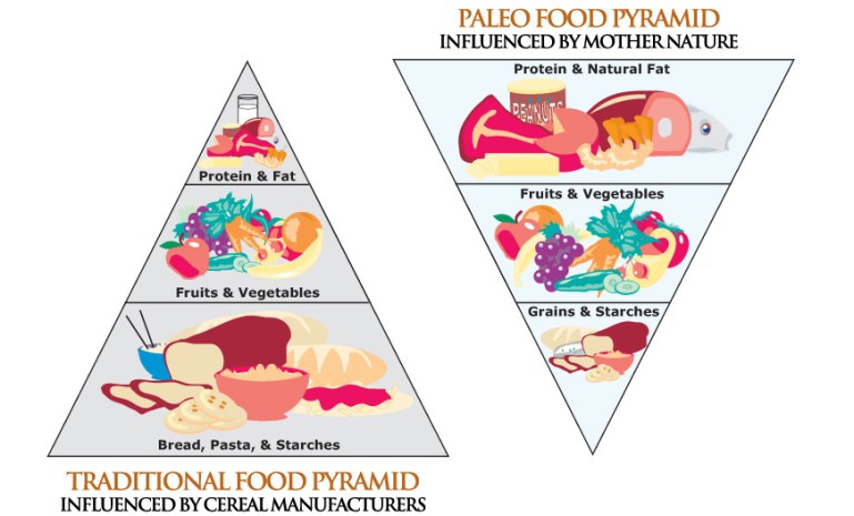 paleo-food-pyramid